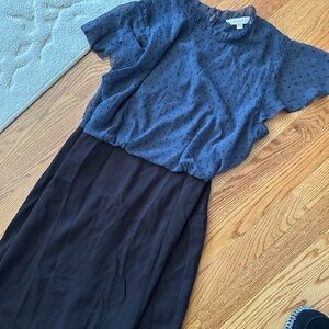 LOFT Blue Sheer Polka Dot Blouse